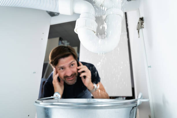 Best Residential Plumbing Services  in Rayre, MO